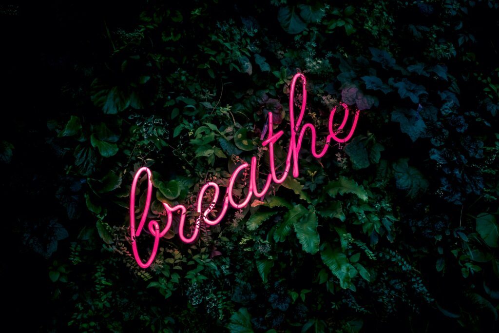 pilates perfect fundamentals - breathing shows a picture of leafy greenery with a pink neon sign in front that says breathe